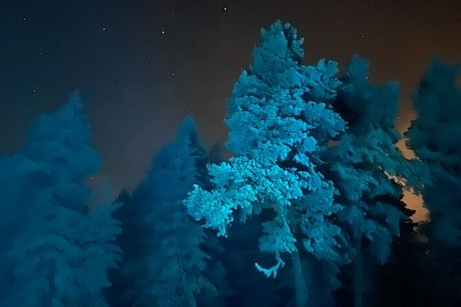 Aurora Borealis Dinner in a Glass Igloo - Expert Guided Aurora Chase in Comfortable Vehicles