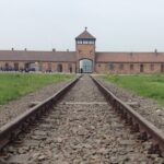 Auschwitz and Birkenau Round-Trip VIP Transport from Krakow - Convenient Hotel Pickup and Drop-Off in Krakow