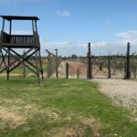 Auschwitz-Birkenau and Wieliczka Salt Mine Museum Guided Tour from Krakow - Discovering the Wieliczka Salt Mines Underground Marvels