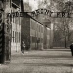 Auschwitz-Birkenau Guided Shared Tour from Krakow - How the Tour Begins: Hotel Pickup and Transportation