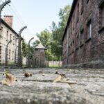 Auschwitz & Birkenau: Live-Guided Tour with Transportation and Hotel Pickup - Visiting Auschwitz I: The Original Concentration Camp