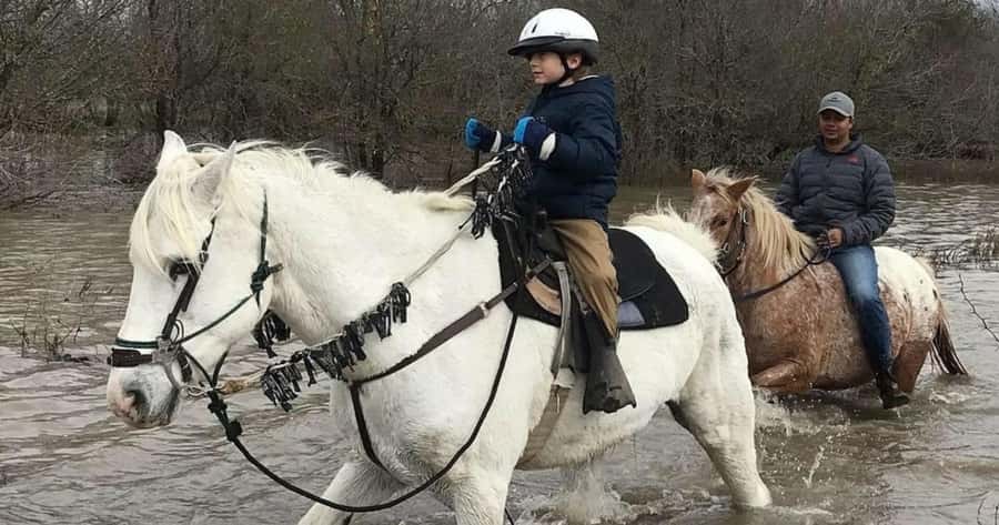 Austin: Maverick Horsemanship Trail Ride - The Trail Ride Starts at Maverick Horseback Riding in Austin