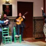 Authentic Flamenco Show with Tapas & Wine Guided Tour - The Stops: From Local Taverns to Historic Flamenco Venues