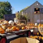 Autumn in New England - Scenic Journey in a Comfortable Air-Conditioned Bus