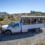 Avalon, Catalina Island: 2-Hour Inside Adventure Tour - Exploring Catalina’s Interior: A Wildlife Safari and Scenic Overlook