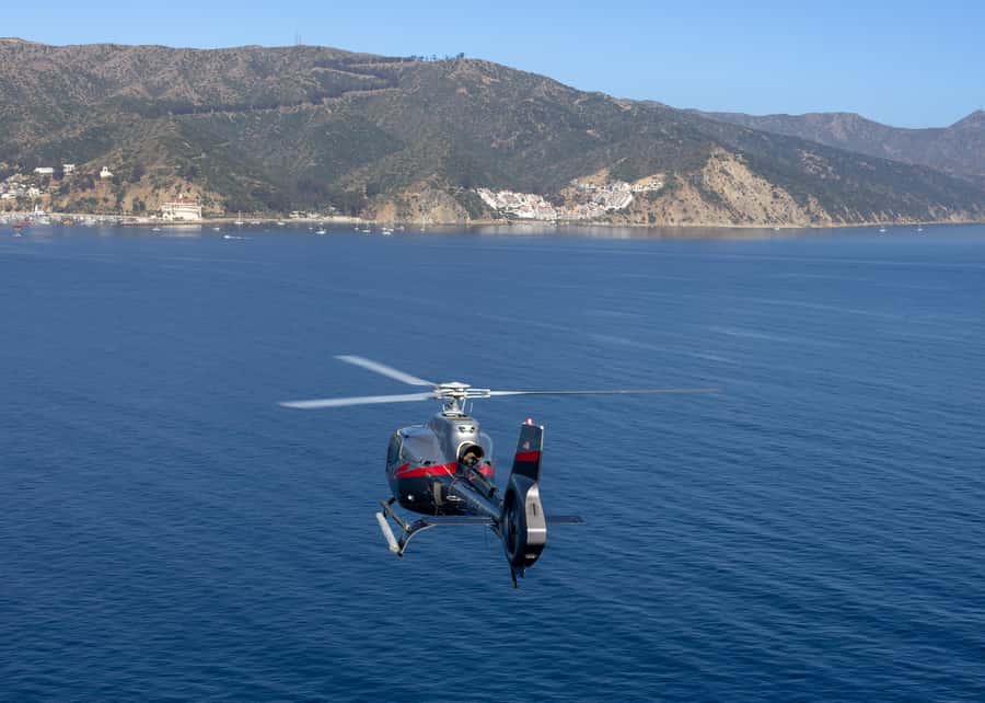 Avalon: Santa Catalina Island Aerial Helicopter Tour - What Makes the 20-Minute Flight Perfect for Quick Sightseeing