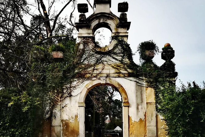 Aveiro and Coimbra Private Tour From Porto - Aveiro’s Ria: A Scenic Waterway and Optional Cruise