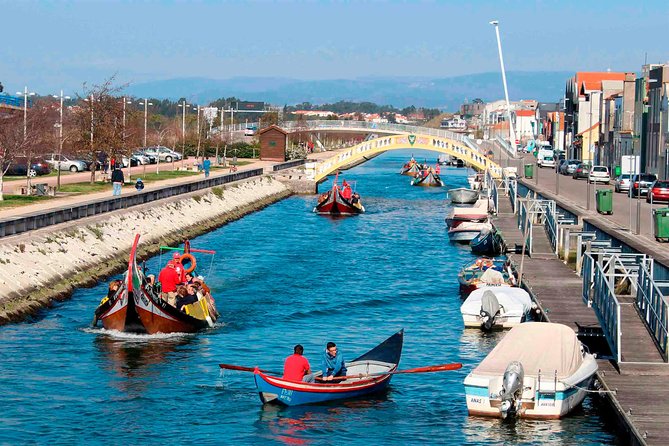 Aveiro Canal Cruise in Traditional Moliceiro Boat - Starting Point: Viva a Ria at Jardim do Rossio