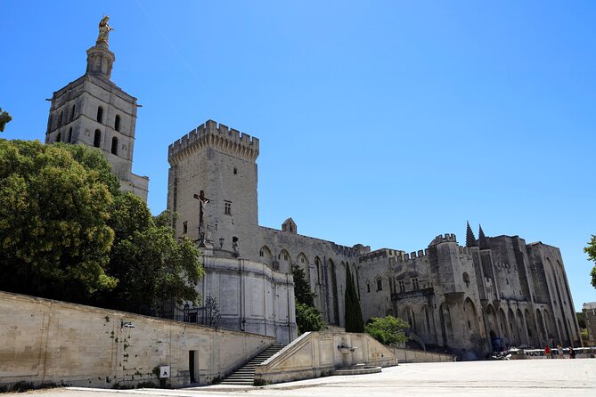 Avignon's history, local culture & the wines of Châteauneuf du Pape private tour - Visiting the Palais des Papes: France’s Gothic Powerhouse