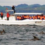 Azores Whale Watching Tour  Ponta Delgada - Meeting Point at Marina Pêro de Teive in Ponta Delgada