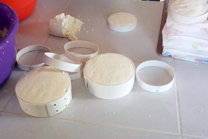 Baby sea turtles camp - The Role of Local Families in Protecting Sea Turtles