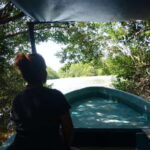 .Baby Turtle Release, Lagoon Boat Ride, and Crocodile Farm - The Starting Point: Hotel Pick-Up and Tour Introduction