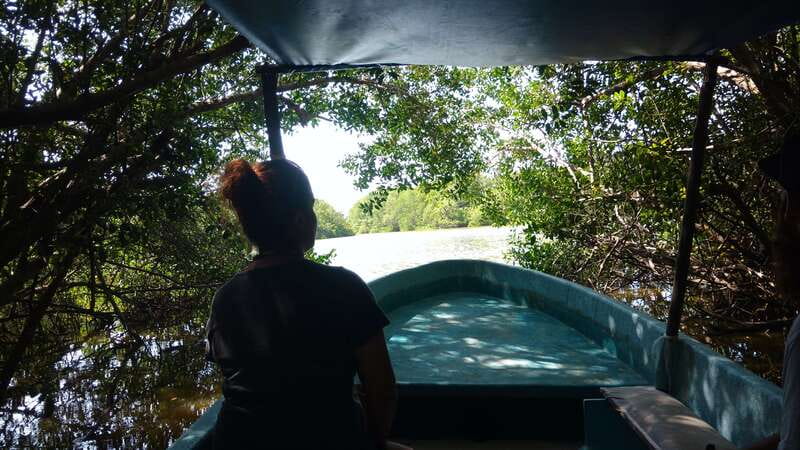 .Baby Turtle Release, Lagoon Boat Ride, and Crocodile Farm - The Starting Point: Hotel Pick-Up and Tour Introduction
