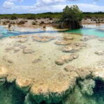 Bacalar: Magnificent Bacalar Lagoon Exclusive Boat Tour - The Starting Point at Casa de Piedra Yovanis Tours