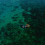 Bacalar Yoga Class on Floating Platform in Laguna - Meeting Point Details and Logistics