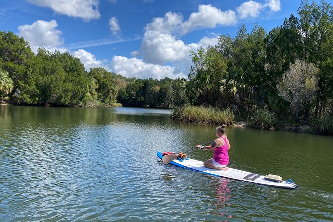 Backland Alligator Electric Paddle Tour - Comfortable and Easy Motorized Kayaking Experience