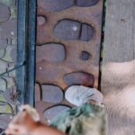 Bainbridge Island Discovery Tour - Relaxing at Rockaway Beach and Coastal Views from Halls Hill Lookout