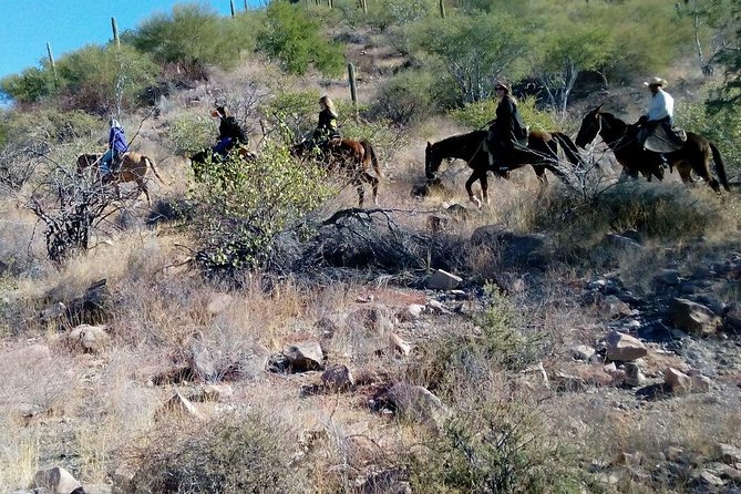 Baja Desert Horseback Riding Tour - Scenic Horseback Ride through Baja’s Old Canyon Roads