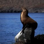 Balandra Private Boat Tour - Visiting Balandra Beach: Sun, Relaxation, and Lunch