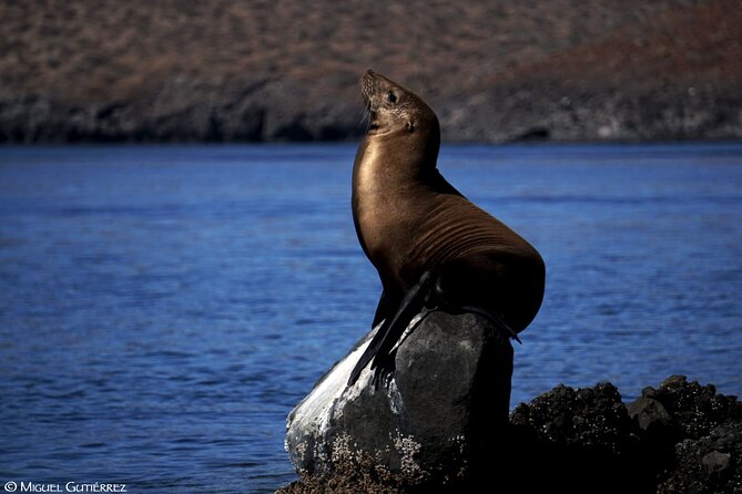 Balandra Private Boat Tour - Visiting Balandra Beach: Sun, Relaxation, and Lunch
