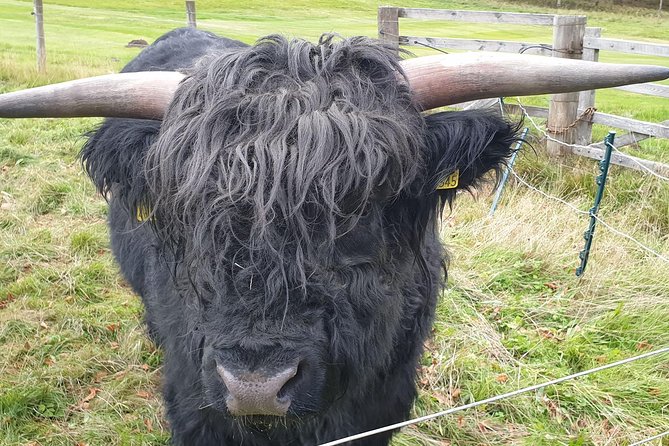 Balmoral Castle Tour From Inverness - Visiting Crathie Kirk: A Community Church with Royal Ties