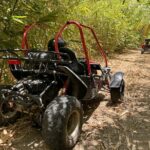Bamboo Dune Buggy Tour - Who Can Drive or Ride? Age and Equipment Requirements