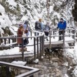 Banff Area & Johnston Canyon 1-Day Tour from Calgary or Banff - Exploring Banff’s Iconic Sights in a Single Day
