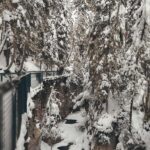 Banff/Canmore: Johnston Canyon Frozen Falls - Scenic Drive Along Bow Valley Parkway