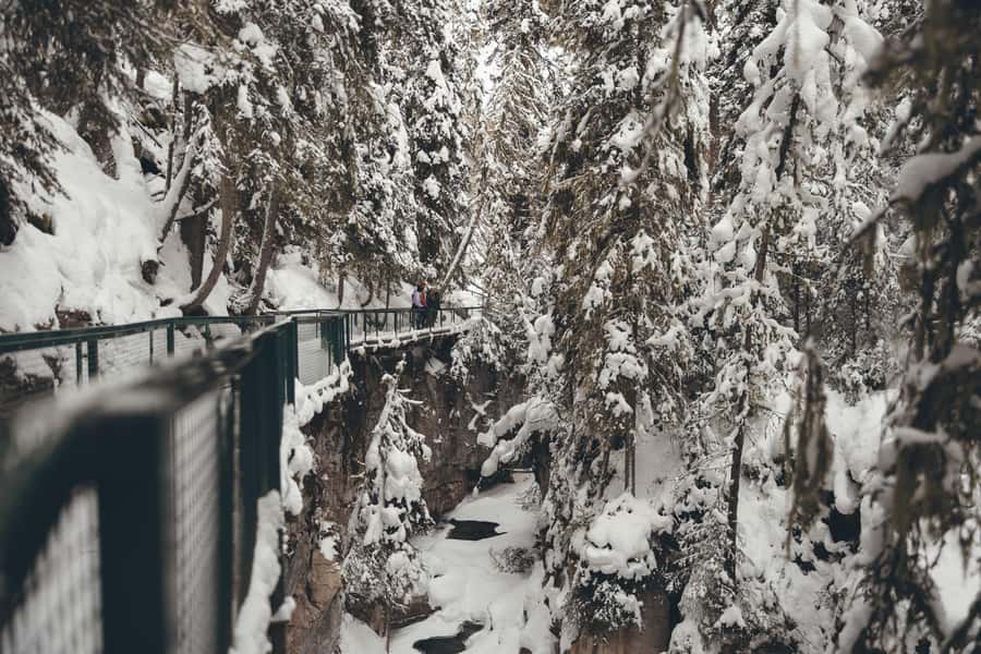 Banff/Canmore: Johnston Canyon Frozen Falls - Scenic Drive Along Bow Valley Parkway