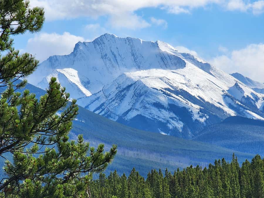 Banff Canmore: Wildlife Focused Guided Snowshoeing Adventure - Exploring Kananaskis, Banff, Yoho, and Kootenay Parks