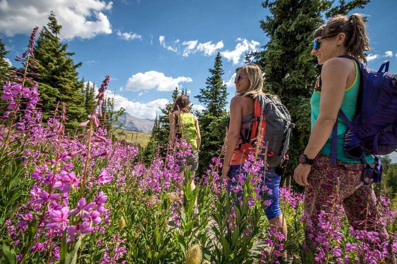 Banff: Edible and Medicinal Plants Nature Walk - Discovering Mountain Survival Skills and Plant Identification