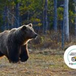 Banff Highlights & Wildlife | Award-Winning Small Group Adventure - Starting Point at Banff Train Station
