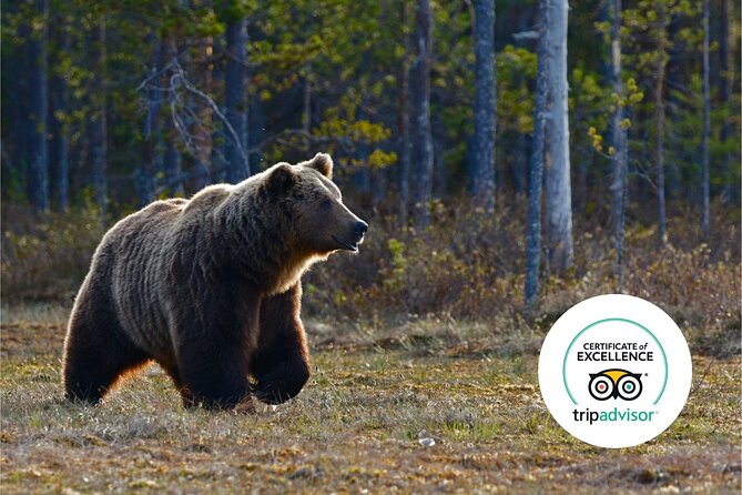 Banff Highlights & Wildlife | Award-Winning Small Group Adventure - Starting Point at Banff Train Station