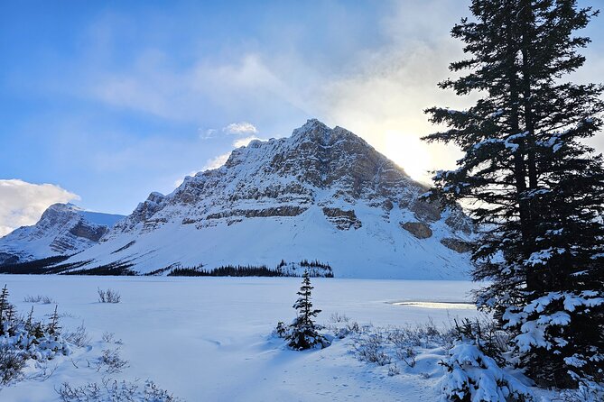 Banff, Icefield Pkwy Full Day Winter Wonderland Private Tour - Johnston Canyon: A Frozen Waterfall Wonderland