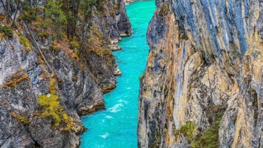 Banff, Lake Louise, Moraine ,Emerald & Johnston Canyon tour - Scenic Drive to Lake Louise and Capture Its Pristine Beauty