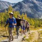 Banff National Park Guided Hike with Lunch - Logistics: Meeting Points, Transport, and Group Size