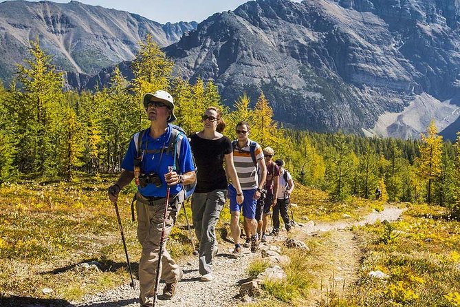 Banff National Park Guided Hike with Lunch - Logistics: Meeting Points, Transport, and Group Size