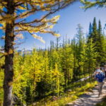 Banff National Park: Guided Signature Hikes with Lunch - Pick-Up and Meeting Points in Banff