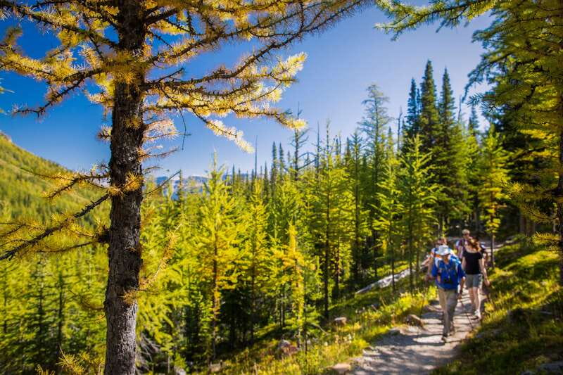 Banff National Park: Guided Signature Hikes with Lunch - Pick-Up and Meeting Points in Banff