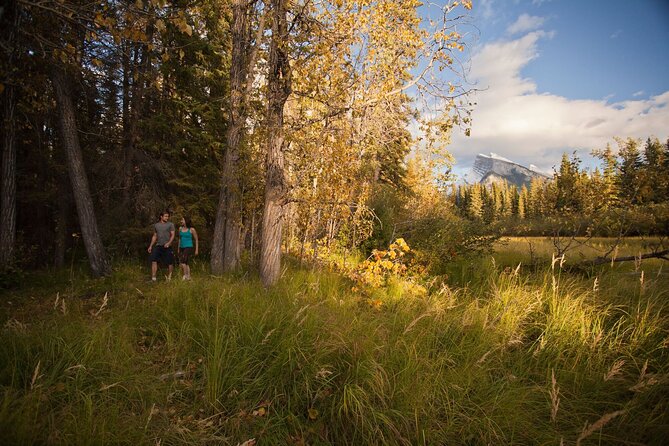 Banff: Private Guided Nature Walk - 2H - Starting Point at Cave and Basin National Historic Site
