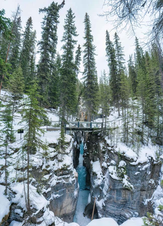 Banff: Small-group Tour of Frozen Gems of Yoho and Kootenay - Exploring Marble Canyons Icy Majesty