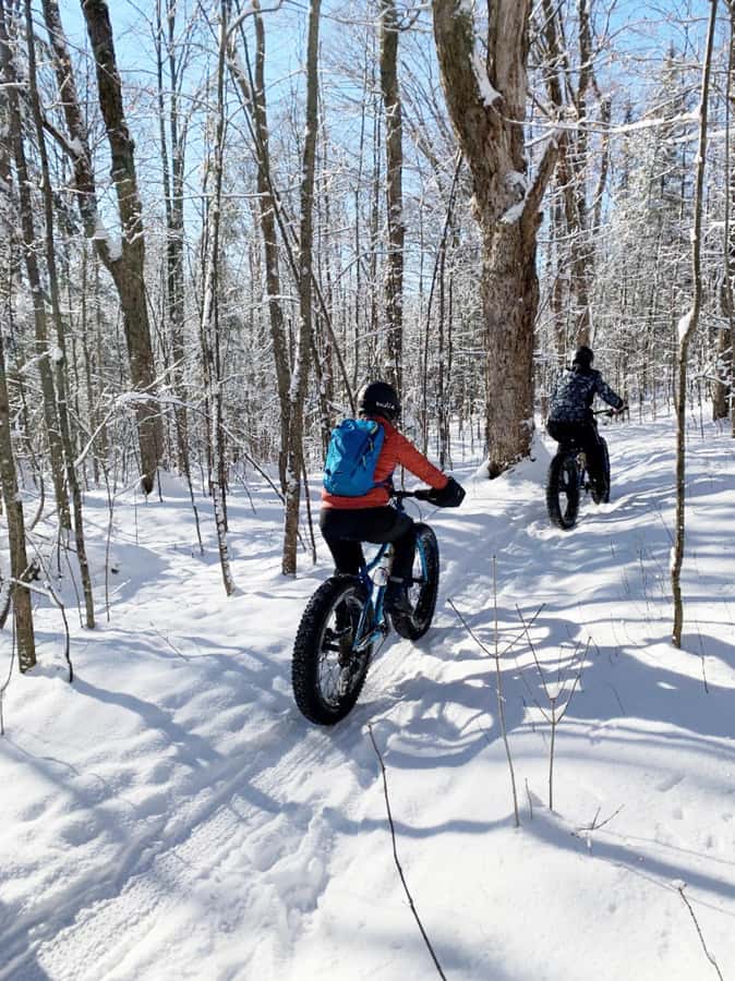 Banff Top Sights via Electric Fat Bike Tour All Skill Levels - Starting Point and Practical Details in Banff