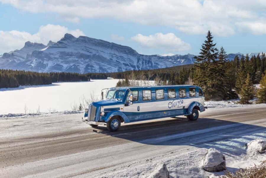 Banff: Winter Tour with Dinner & Nightrise at Banff Gondola - Nighttime Magic with Nightrise at Banff Gondola