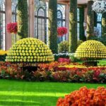 BAPS Mandir & Longwood Gardens 1-Day Tour from NY | Kids 50% Off - Visiting the BAPS Shri Swaminarayan Mandir