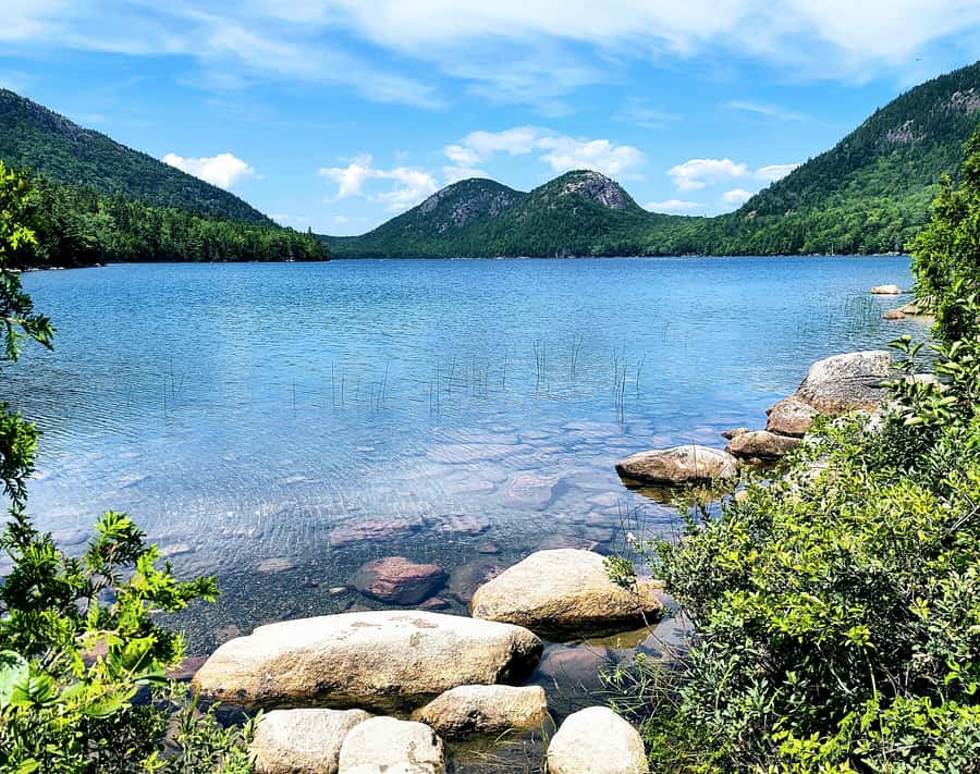 Bar Harbor: Acadia National Park and Lighthouse Private Tour - The Benefits of a Private Guided Tour on Mount Desert Island