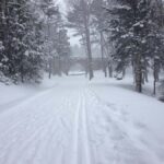 Bar Harbor, Maine: Winter in Acadia Private Driving Tour - Iconic Acadia Sights in Winter: Sand Beach, Thunder Hole, and Otter Cliffs