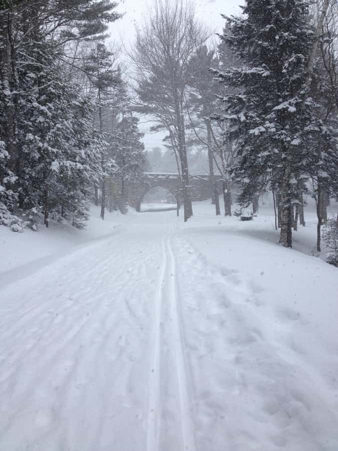 Bar Harbor, Maine: Winter in Acadia Private Driving Tour - Iconic Acadia Sights in Winter: Sand Beach, Thunder Hole, and Otter Cliffs