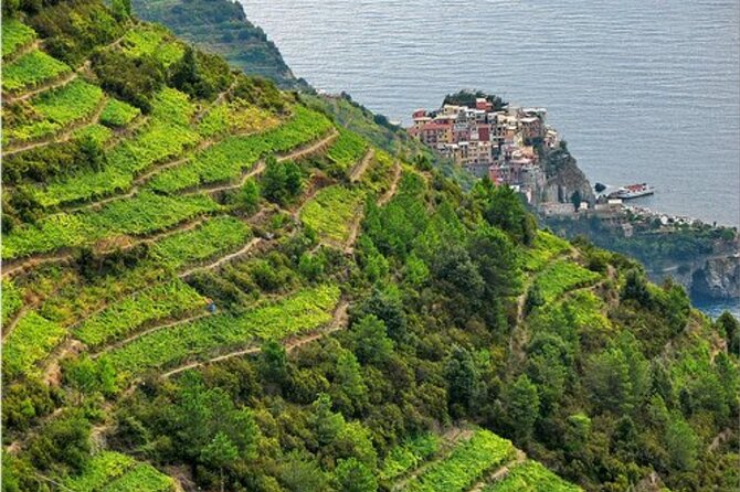 BarCa Winery Cinqueterre Trekking & Wine Tasting & Pesto Class - Pesto Class on a Hillside with Panoramic Views
