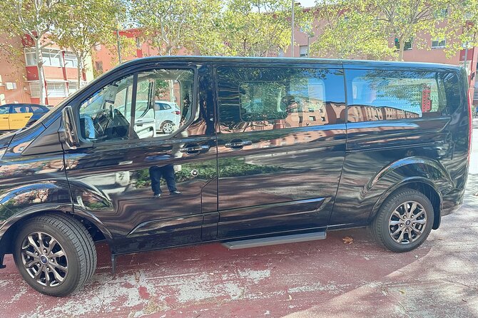 Barcelona Arrival Private Transfer Cruise Port to City Center - Booking and Flexibility