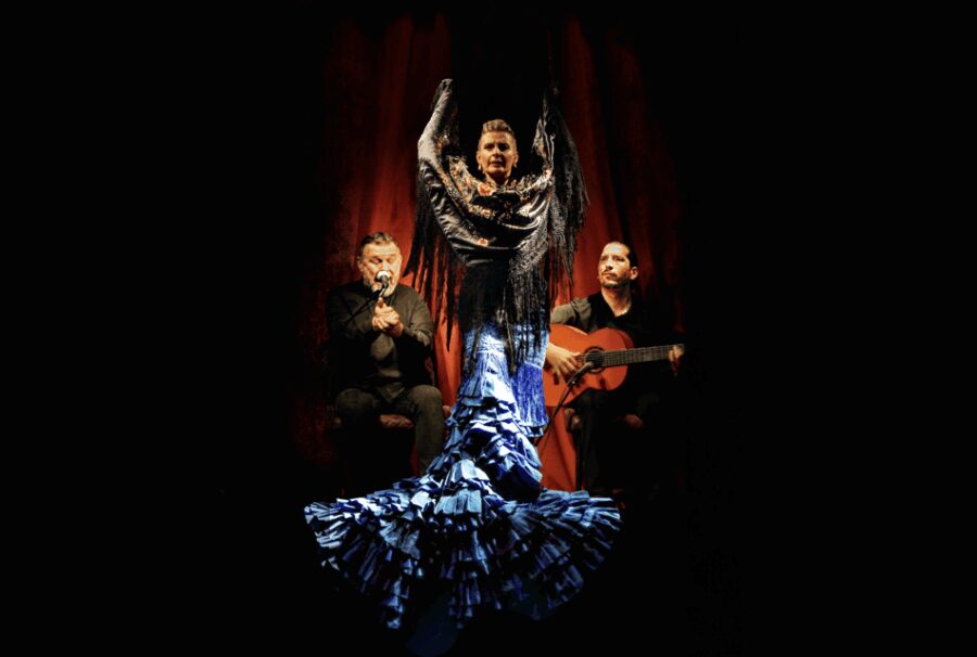 Barcelona: Flamenco Premium Show and Tour Guitar Museum - The Venue: Casa Sors and Its Rich Musical Heritage